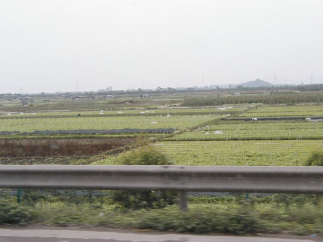 ruralfarms.jpg