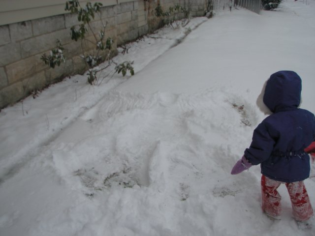 snowangel.jpg