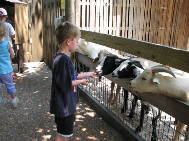 goatwhisperer.jpg